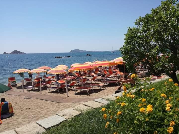 Marina'S Apartment Ogliastra 洛特佐莱 外观 照片